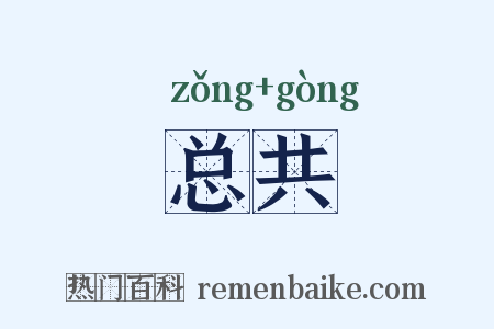 总共是什么意思的图片